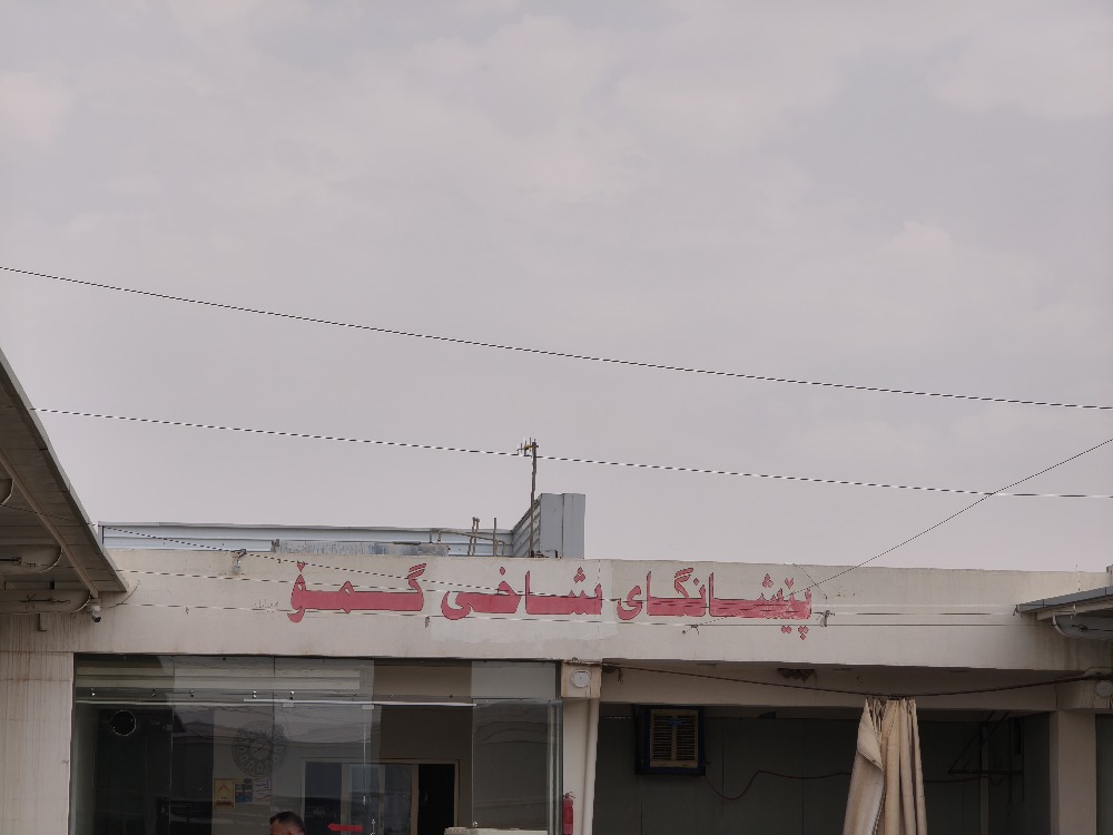 شاخي گمو